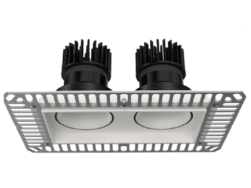 LT1D Wing Dual-Head Recessed Spotlight - EYECONIC TWIN RECESSED