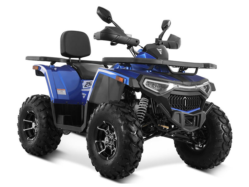 Tao Motor 2025 New Design Chain-Drive 4x2 250cc ATV Quad Bike - EPA CE Certified