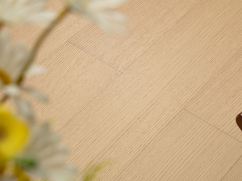 MEZOO Flooring - 55 Series Russian All-Birch - Straight-Grain Oak KY5523 2