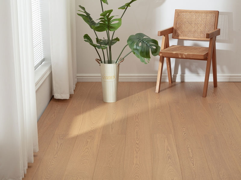 MEZOO Flooring - 29 Series New All-Birch - European White Oak MZ2962 2