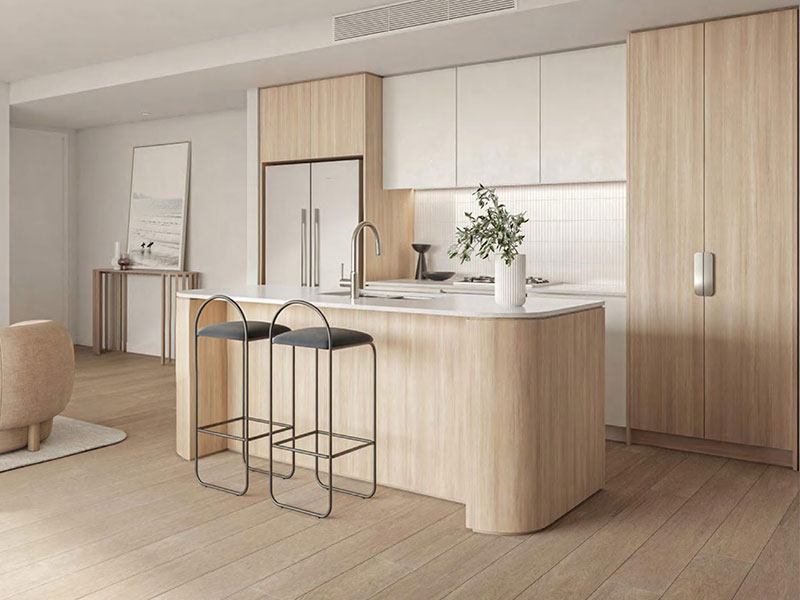 BRUNHOME - Wood-Veneer Door TV01 2