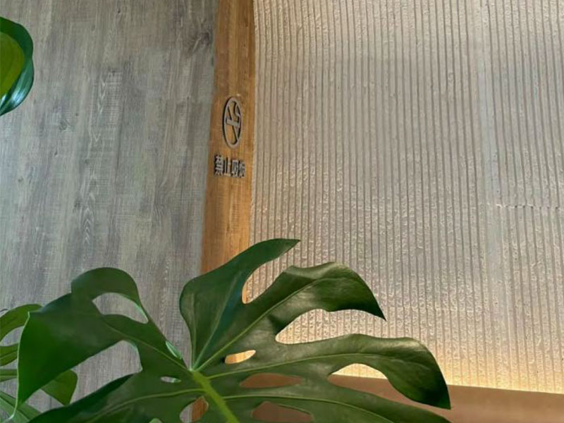 Zhouyu New Materials - Solid-Color Texture Soft Stone - Field-Path Stone 2